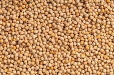 Cizrna 7-8mm BIO 3 kg Cizrna 7-8mm BIO 3 kg