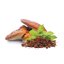 Reishi prášek BIO 100 g