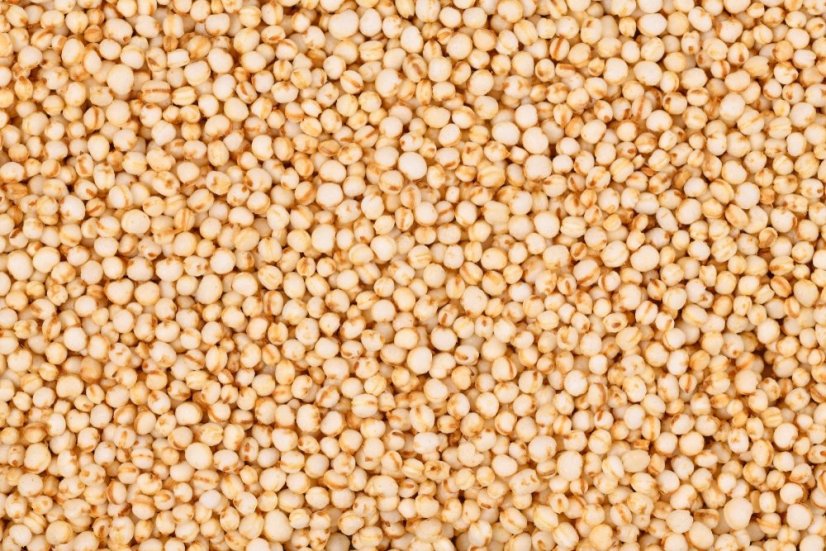 Quinoa pufovaná BIO 3 kg