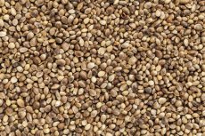 Konopné semínko neloupané BIO 3 kg