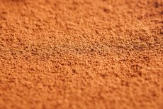 Skořice cejlonská mletá BIO 3 kg