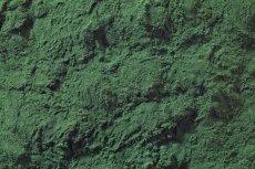 Spirulina prášek BIO 3 kg