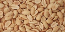 Arašídy pražené solené 38/42 3 kg Arašídy pražené solené 38/42 3 kg