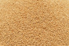 Pufovaný amarant BIO 3 kg