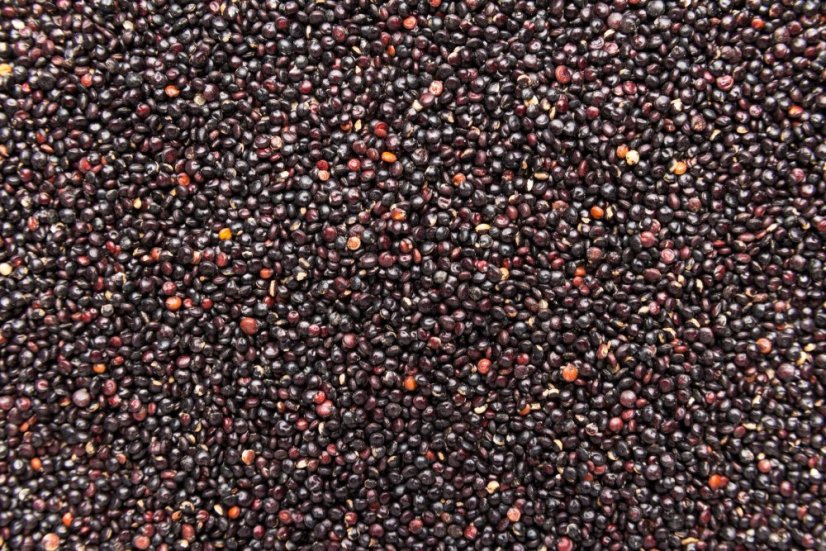 Quinoa černá BIO 3 kg