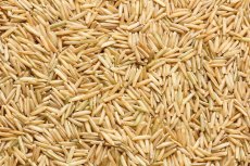 Basmati celozrnná rýže BIO 3 kg Basmati celozrnná rýže BIO 3 kg