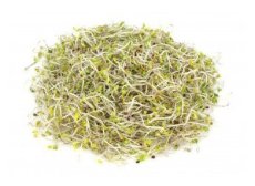 Brokolice - semínka na klíčení 100 g Brokolice - semínka na klíčení 100 g