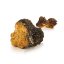 MycoMedica Chaga 90 tobolek