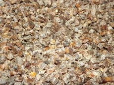 Meruňky kostičky BIO 3 kg