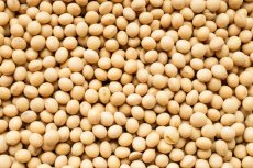 Sójové boby BIO 3 kg