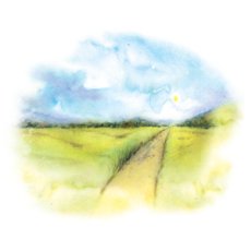 YaoMedica Volná cesta 50 ml