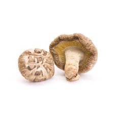 MycoMedica Shiitake 90 kapslí