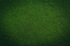 Chlorella prášek sprejové sušení BIO 3 kg