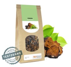 Reishi sušená 100 g