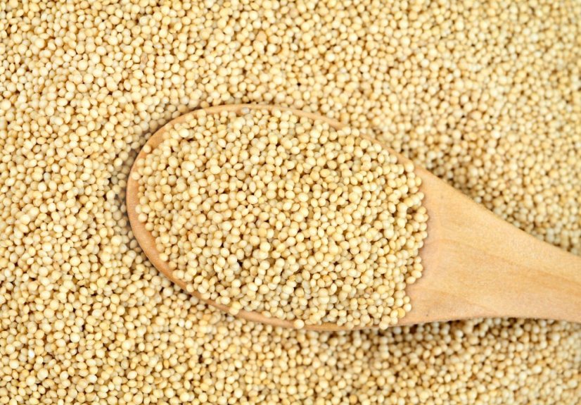 Amarant - Laskavec ocasatý Bio 3 kg